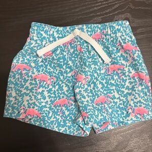 Chubbies boys baby swim shorts